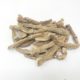 Calamo aromatico (Acorus calamus)