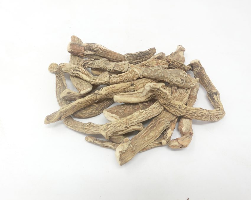 Calamo aromatico (Acorus calamus)