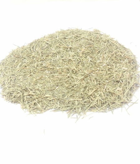 Dragoncello messicano (Tagetes lucida)