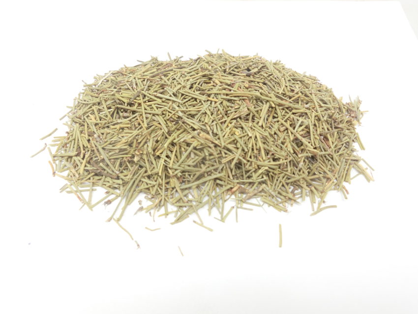 Efedra (Ephedra sinica)