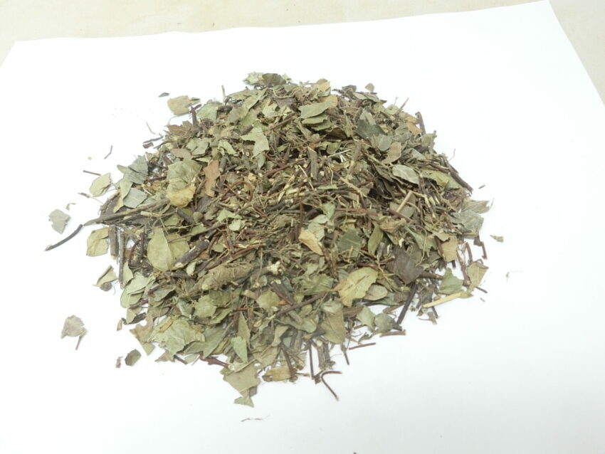 Falso gelsomino (Trachelospermum jasminoides)