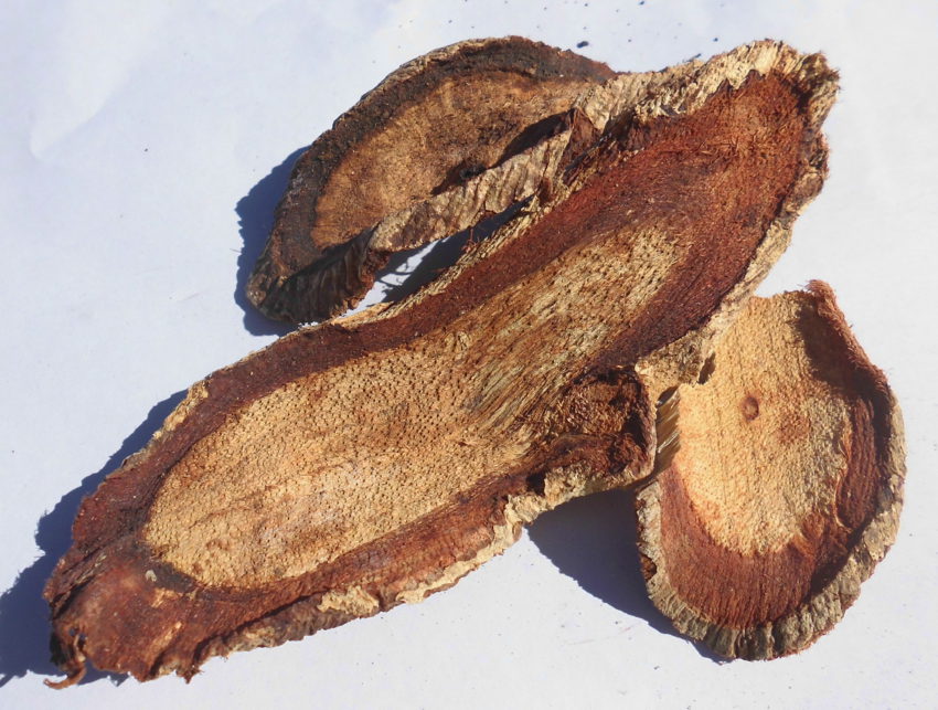Kwao krua rossa (Butea superba)