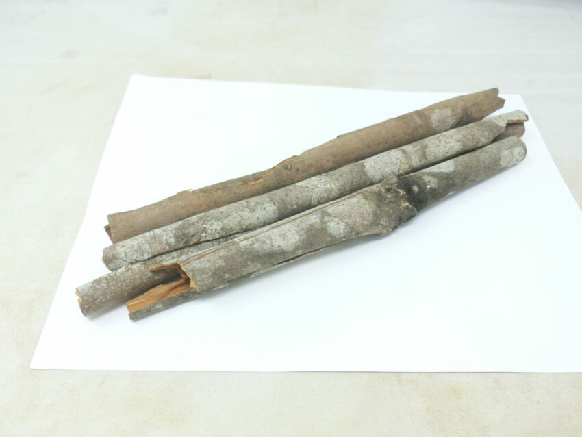 Cannella (Cinnamomum cassia) (Cinnamomum loureiroi)