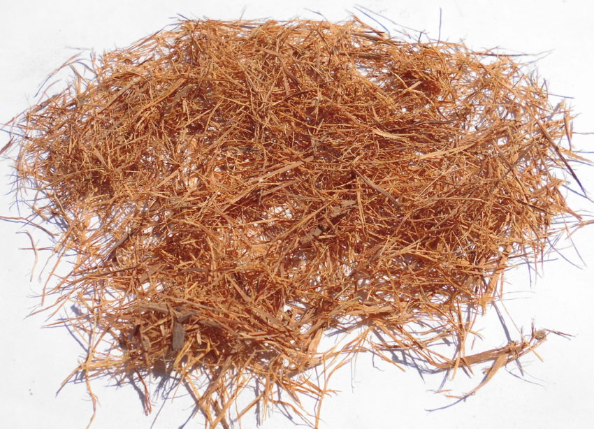 Artiglio di gatto (Uncaria tomentosa)