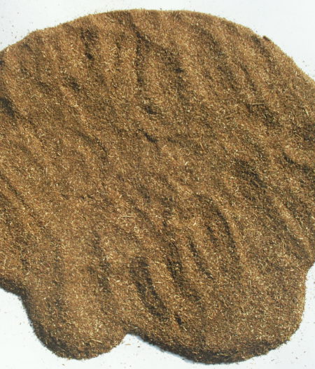 Gotu kola (Centella asiatica) - in polvere, 50g