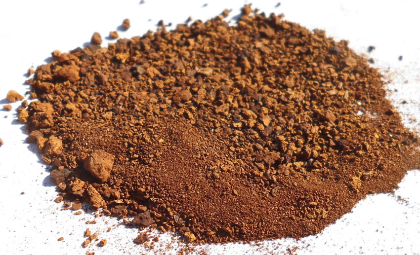 Chaga (Inoquitus obliquitus)