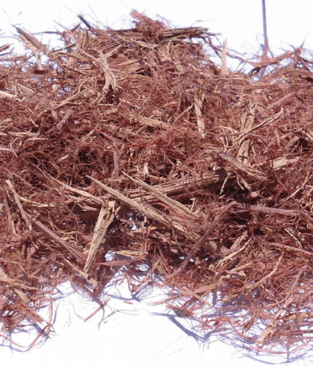 Clavohuasca (Tynanthus panurensis) - tritato, 50g