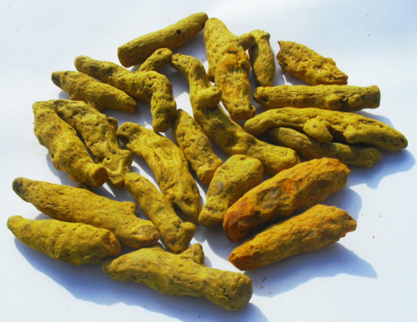 Curcuma (Curcuma longa)