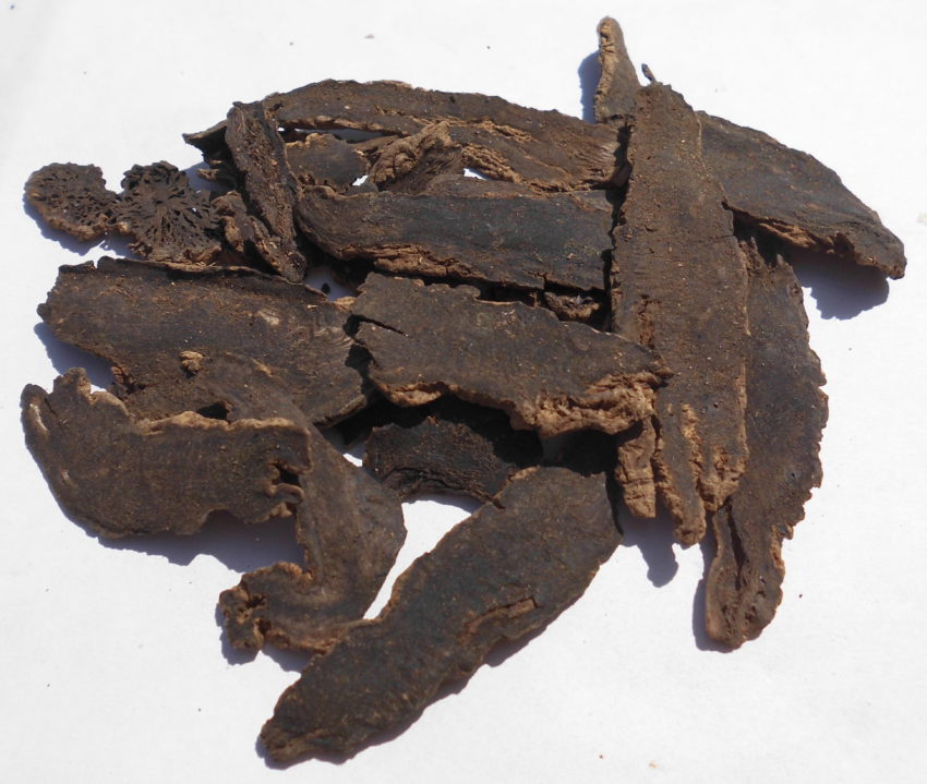 Artiglio del diavolo (Harpagophytum procumbens)