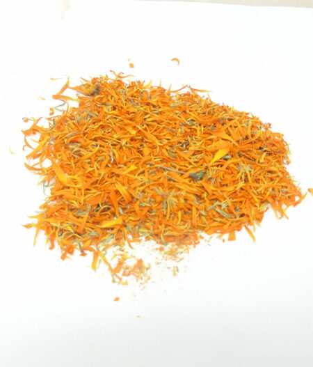 Calendula selvatica (Calendula suffruticosa)