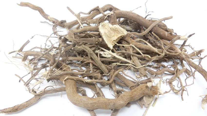 Kava (Piper methysticum)