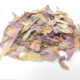 Loto rosa (Nelumbo nucifera)