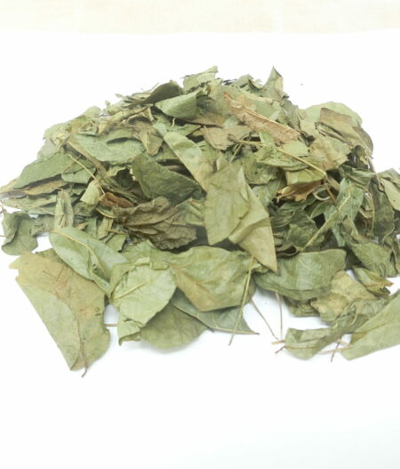 Zornia latifolia, fogliame essiccato