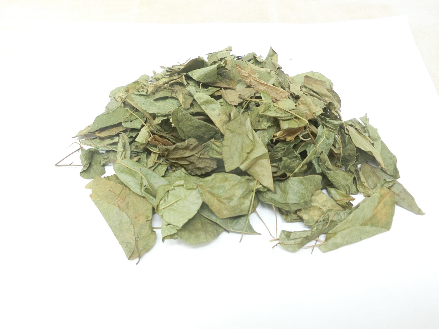 Zornia latifolia, fogliame essiccato