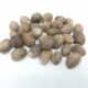 Noce moscata (Myristica fragrans)