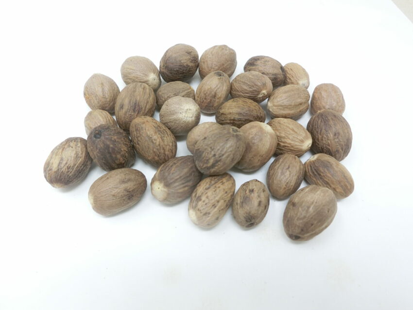Noce moscata (Myristica fragrans)