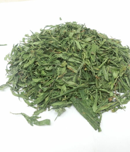 Sinicuichi (Heimia salicifolia)