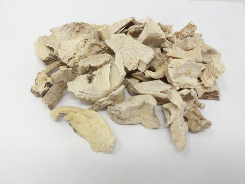 Uzara (Xysmalobium undulatum)