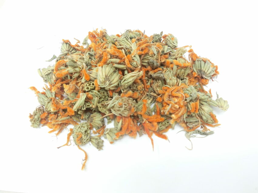 Wild Dagga (Leonotis leonurus)