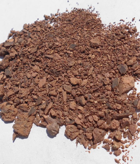 Albero della febbre (Acacia xanthophloea) - tritato, 50g