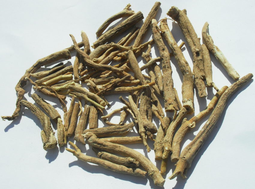 Ashwagandha (Whitania somnifera)