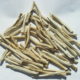 Shavatari (Asparagus racemosus)