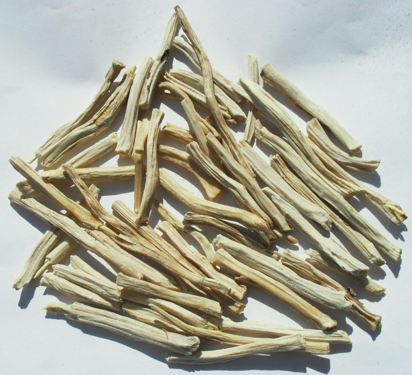 Shavatari (Asparagus racemosus)