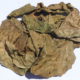 Fagiolo da spiaggia (Canavalia rosea)