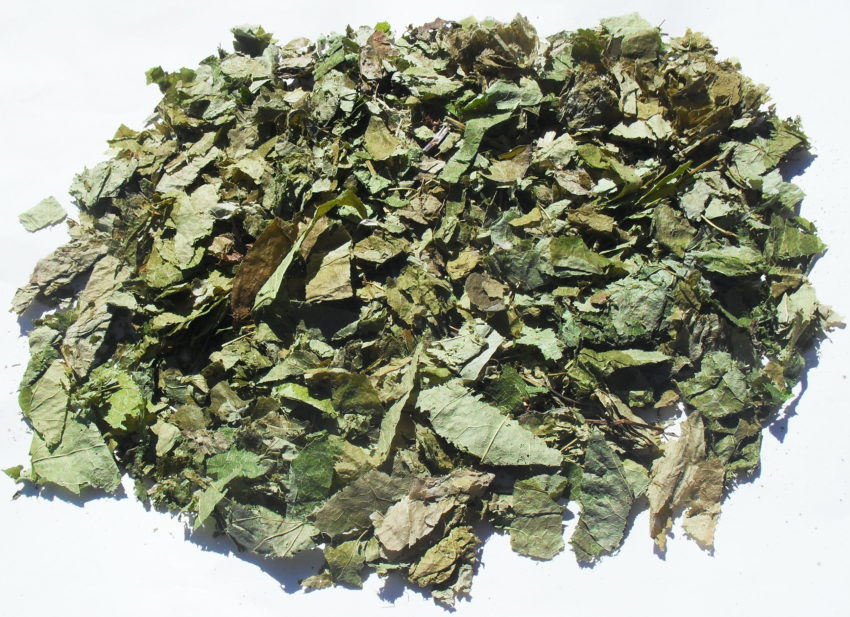 Erba di capra (Epimedium grandiflorum)