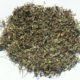 Erba gatta (Nepeta cataria)