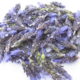 Lavanda (Lavandula officinalis)