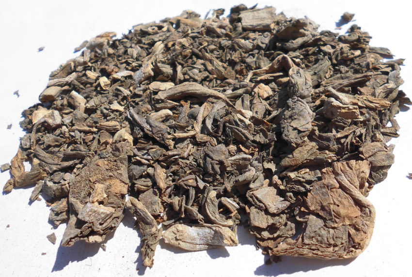 Tabacco indiano (Lobelia inflata)