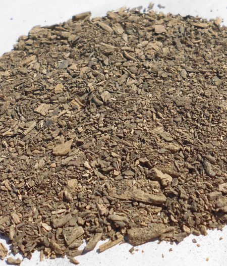 Tabacco indiano (Lobelia inflata)