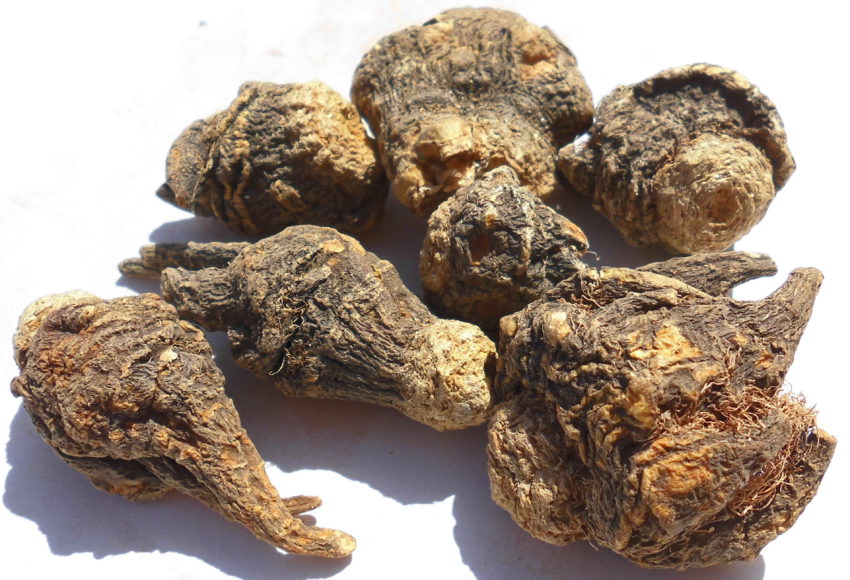 Maca (Lepidium meyenii)