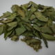Maconha brava (Zornia latifolia)