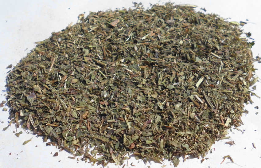 Melissa (Melissa officinalis)