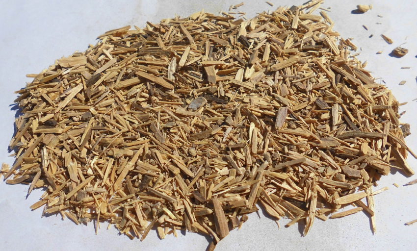 Muira Puama (Ptychopetalum olacoides)
