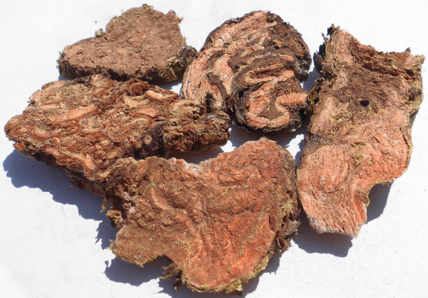 Rodiola (Rhodiola rosea)