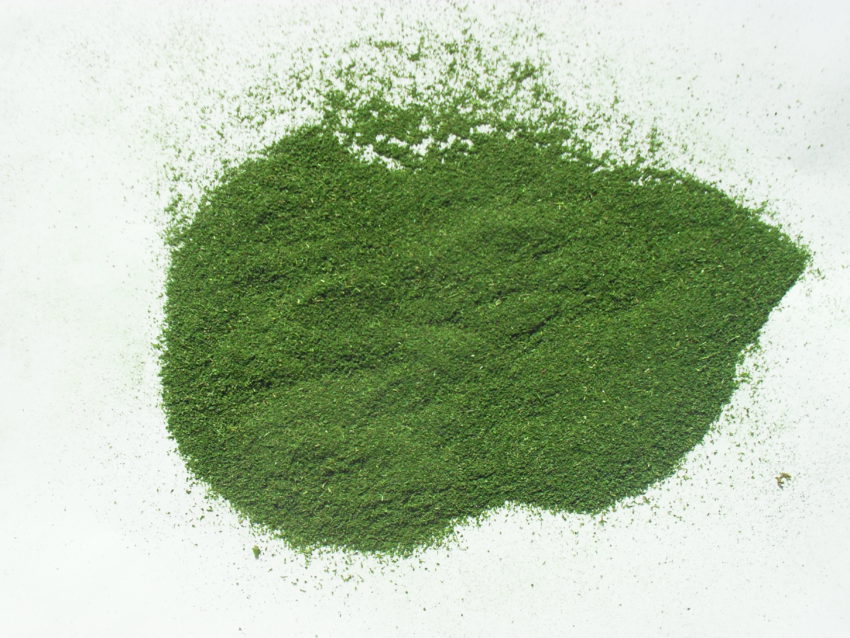 Spirulina (Arthrospira platensis)