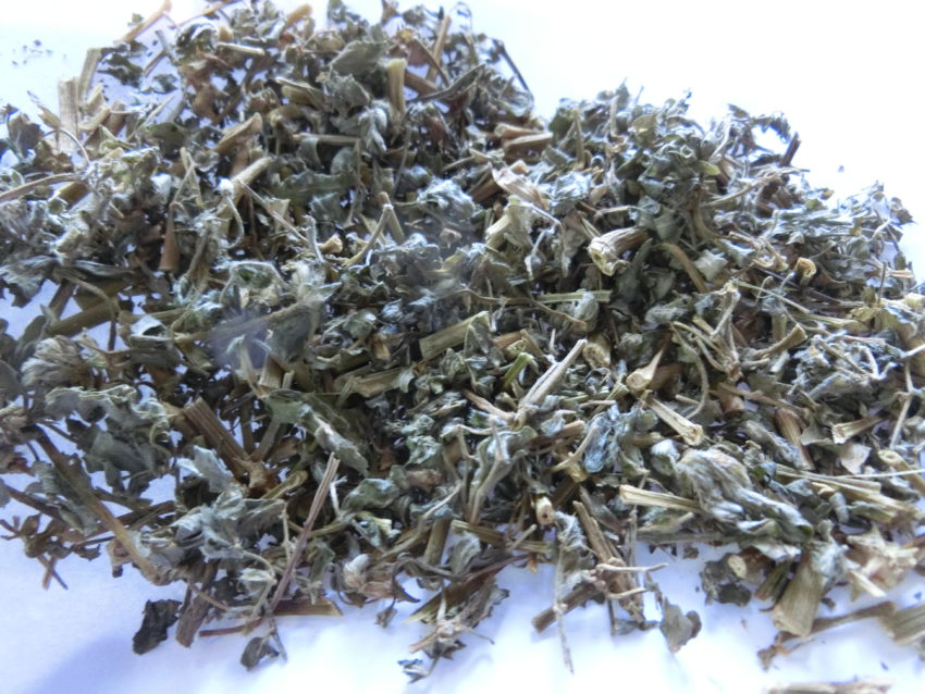 Tribolo (Tribulus terrestris)