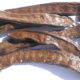 Carruba (Ceratonia siliqua)