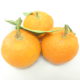 Arancia amara (Citrus aurantium)