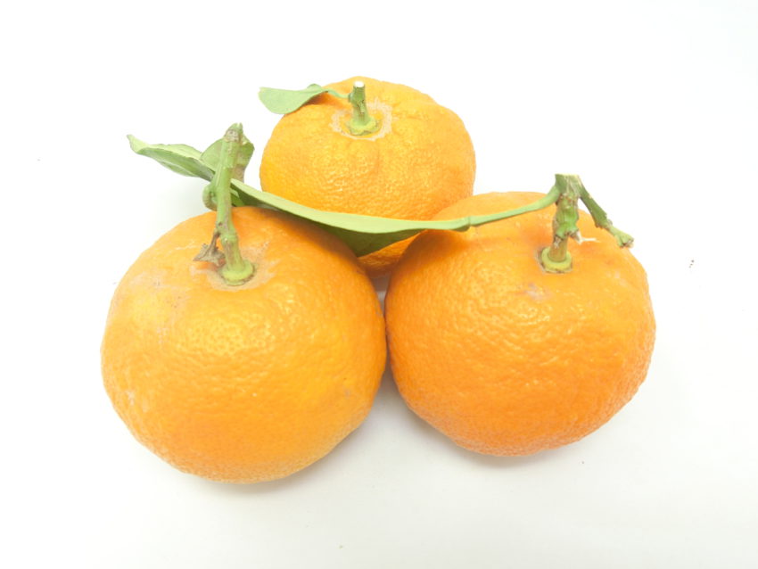 Arancia amara (Citrus aurantium)
