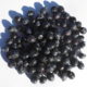 Mirto (Myrtus communis)