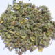 Maggiorana (Origanum majorama)
