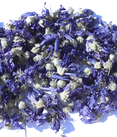 Malva (Malva sylvestris)