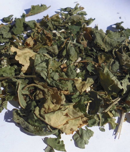 Anamu (Petiveria alliacea) - tritato, 25g