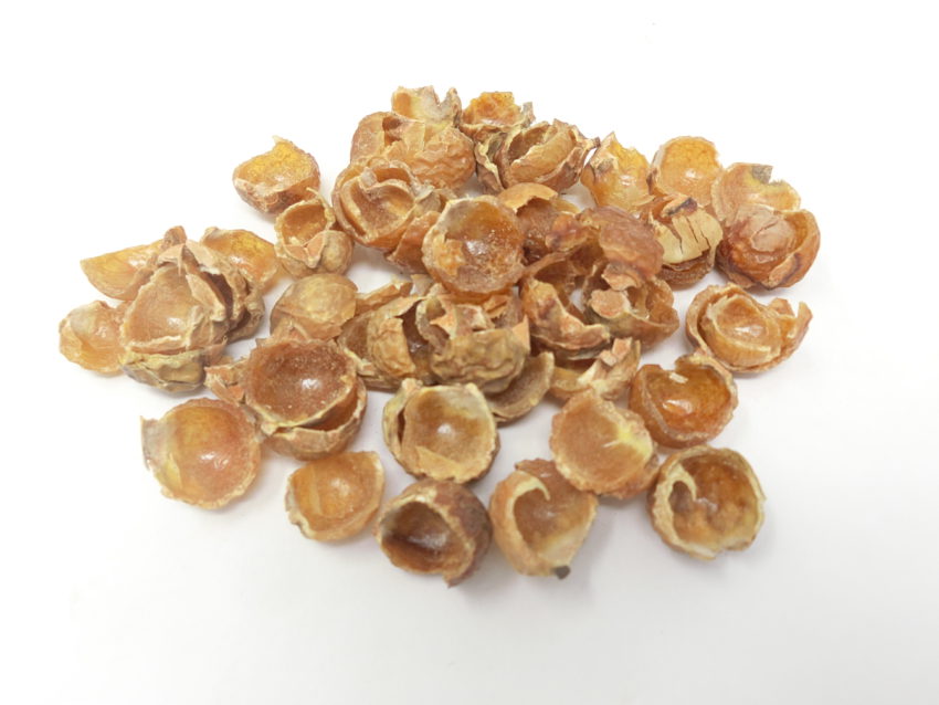 Noci del sapone (Sapindus mukorossi)