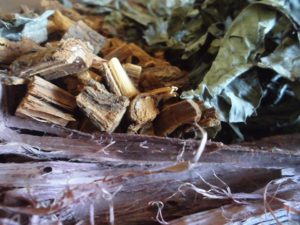 ORIGINI DELLA RICETTA AYAHUASCA