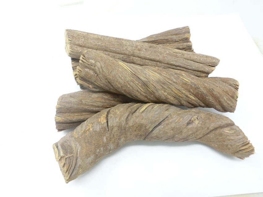 Ayahuasca nera (Alicia anisopetala)